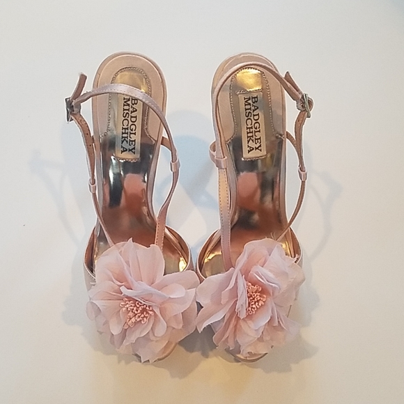 Badgley Mischka Shoes - Badgley Mischka Blush Pink Azbrina Blossom heels